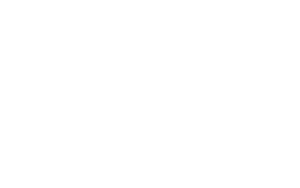 Logo Dedienne Aérospace