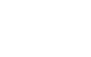 Logo Naval Group